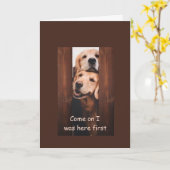 ゴールデンリトリーバー誕生日カード カード (黄色い花)