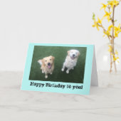 ゴールデンリトリーバー誕生日カード カード (黄色い花)