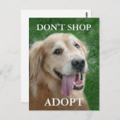 ゴールデンリトリーバー,買い物で救助を受け入れない ポストカード (正面/裏面)