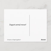 ゴールデンリトリーバー,買い物で救助を受け入れない ポストカード (裏面)