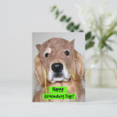 ゴールデンリトリーブグラウンドホッグの日 ポストカード (スタンド正面)