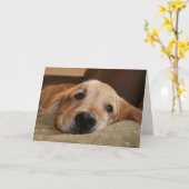 ゴールデンリトリ恋しく思ーバーユーあいさつカード カード (黄色い花)