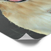 ゴールデンリト保リエバは読教室で落ち着く ポスター (角)