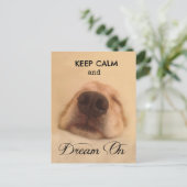 ゴールデンリト保リーバー落ち着いた夢 ポストカード (スタンド正面)