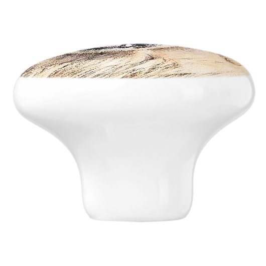 ゴールデンリト絵画リーバーの可愛いオリジナルドッグアート セラミックノブ (側面)