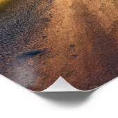 ゴールデンリト運リーバーのアメリカ国旗 ポスター (コーナー)