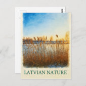 ゴールデンリーズat Dusk – ラトビア自然ポストカード ポストカード (正面/裏面)
