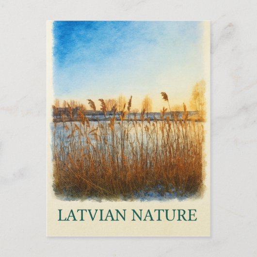 ゴールデンリーズat Dusk – ラトビア自然ポストカード ポストカード (正面)