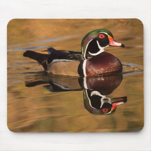 ゴールデンレイクの木の鴨 マウスパッド (正面)