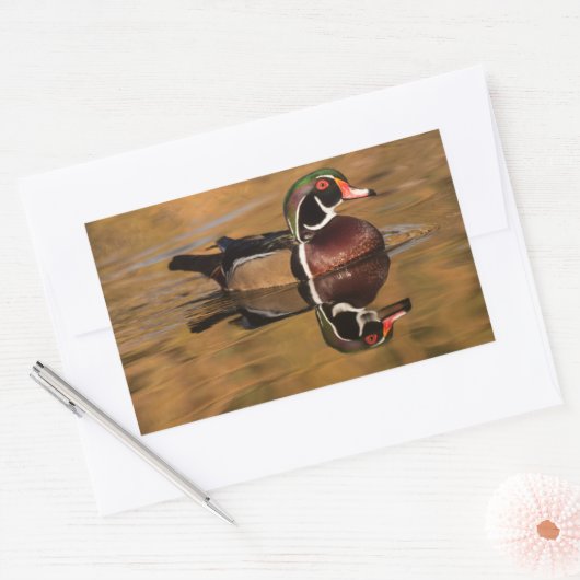 ゴールデンレイクの雄の木の鴨 長方形シール (封筒)