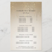 ゴールデンレインストリングライト価格とサービス チラシ (正面)