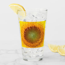 ゴールデンレシオヒマワリ