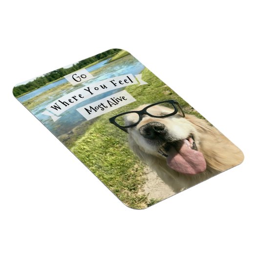 ゴールデンレトリエバーが感じ行く マグネット (右側)