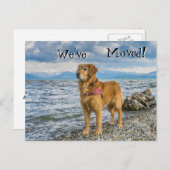 ゴールデンレトリエバーアットザビーチ引っ越しました 案内ポストカード (正面/裏面)