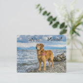 ゴールデンレトリエバーアットザビーチ引っ越しました 案内ポストカード (スタンド正面)