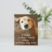 ゴールデンレトリエバーアハウスは決して孤独ではない ポストカード (スタンド正面)