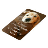 ゴールデンレトリエバーアハウスは決して孤独ではない マグネット (左側)