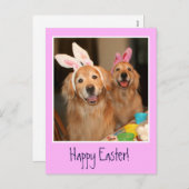 ゴールデンレトリエバーイースターバニー シーズンポストカード (正面/裏面)