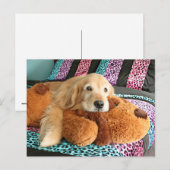 ゴールデンレトリエバーオンベッ恋しく思ドユー ポストカード (正面/裏面)