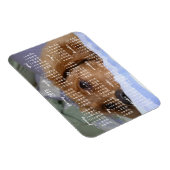 ゴールデンレトリエバーカレンダー2019フォトマグネット付き マグネット (右側)