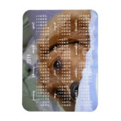 ゴールデンレトリエバーカレンダー2019フォトマグネット付き マグネット (縦)