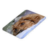 ゴールデンレトリエバーカレンダー2019フォトマグネット付き マグネット (左側)