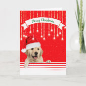 ゴールデンレトリエバークリスマススノーフレーク シーズンカード (正面)