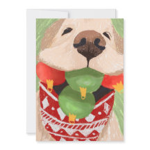 ゴールデンレトリエバークリスマスボールおもしろい口