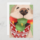 ゴールデンレトリエバークリスマスボールおもしろい口 シーズンカード (正面/裏面)