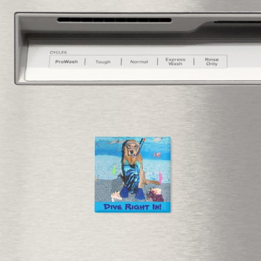 ゴールデンレトリエバーシュノーケラーダイブライトイン マグネット (インサイチュ (食洗機))