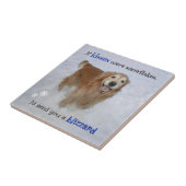 ゴールデンレトリエバースノーフレークキス タイル (側面)