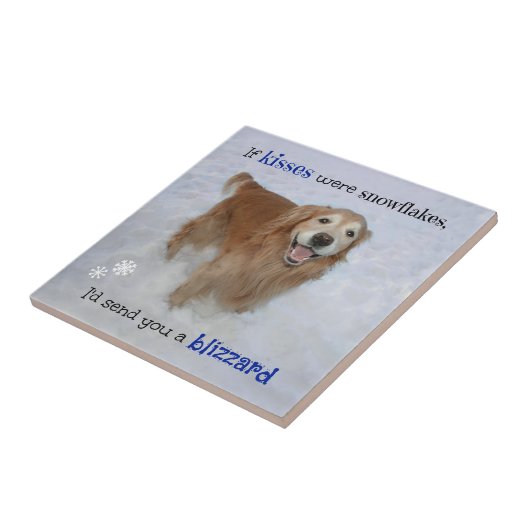 ゴールデンレトリエバースノーフレークキス タイル (側面)