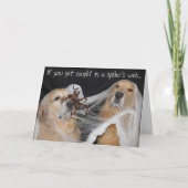 ゴールデンレトリエバースパイダーウェブハロウィーン シーズンカード (正面)