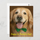 ゴールデンレトリエバーセントパトリックの日 ポストカード (正面/裏面)