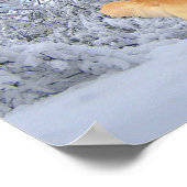 ゴールデンレトリエバーダニーボーイプリント ポスター (角)