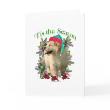 ゴールデンレトリエバーティス