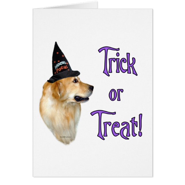 ゴールデンレトリエバートリック (正面)