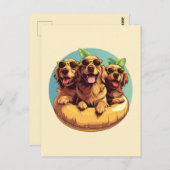 ゴールデンレトリエバードッグスサマープールフロティー ポストカード (正面/裏面)