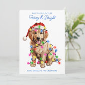 ゴールデンレトリエバードッグパーソナライズされたフューリー&ブライト シーズンカード (スタンド正面)