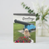 ゴールデンレトリエバードッグマッキナックアイランドトラベル ポストカード (スタンド正面)