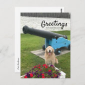 ゴールデンレトリエバードッグマッキナックアイランドトラベル ポストカード (正面/裏面)