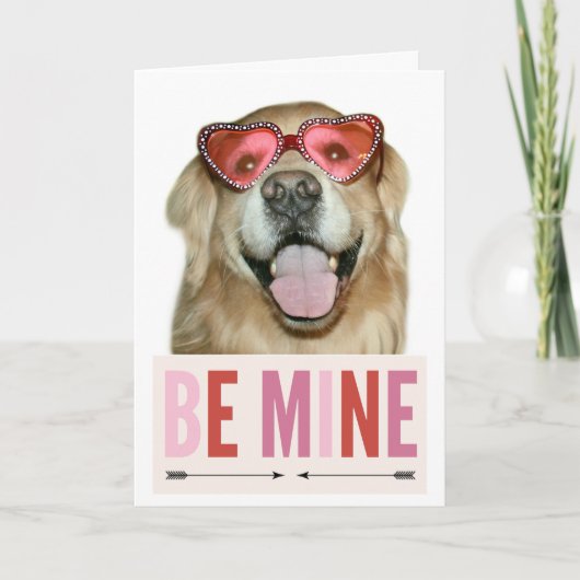 ゴールデンレトリエバードッグinバレンタインデイグラス シーズンカード (正面)