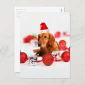 ゴールデンレトリエバードッグwレッドサンタハットクリスマス シーズンポストカード (正面/裏面)