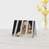 ゴールデンレトリエバーノテカード カード (黄色い花)