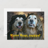 ゴールデンレトリエバーハッピーハウルウィーン ポストカード (正面/裏面)