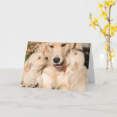 ゴールデンレトリエバーハッピーマザーズデイカード カード (黄色い花)