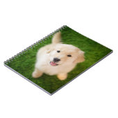 ゴールデンレトリエバーパピオングラス ノートブック (左側)