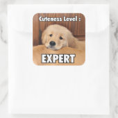 ゴールデンレトリエバーパピカワイネスレベル スクエアシール (バッグ)