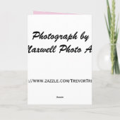 ゴールデンレトリエバーパピバレンタインズデイカード シーズンカード (裏面)