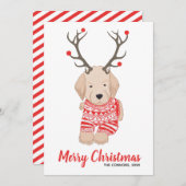 ゴールデンレトリエバーパピークリスマスセーター〔雄ジカの〕枝角 シーズンカード (正面/裏面)